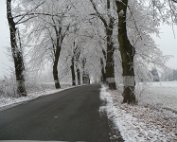 P1000550 Druhá zima byla mrazivá i krásná