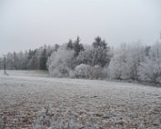 P1000551 Druhá zima byla mrazivá i krásná