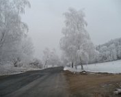P1000566 Druhá zima byla mrazivá i krásná